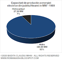 Surse de generare a energiei electrice din judetul Neamt in MW in anul 1989