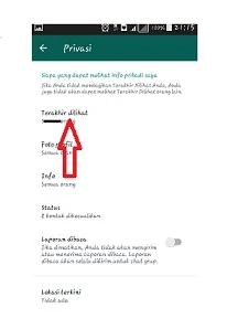 Whatsapp tidak terlihat online