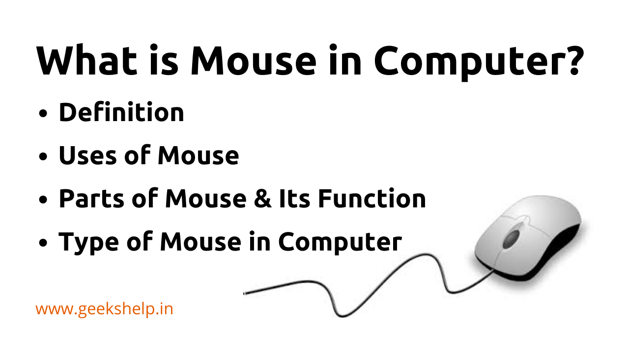 What Is Mouse In Computer, uses of mouse in computer, types of mouse in computer, parts of mouse in computer