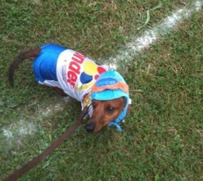 Crazy Halloween Costume for Dog Seen On www.coolpicturegallery.us