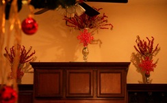 20091215_1625