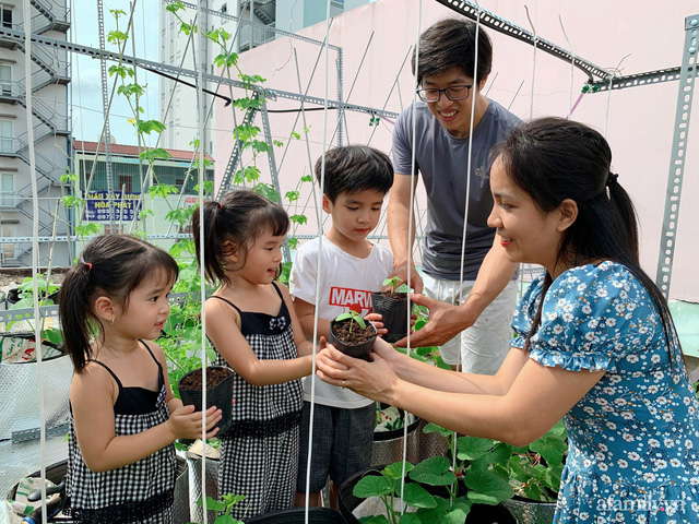 Khu vườn 40 chậu rau xanh tươi trên mái nhà và “bí quyết” đáng học hỏi của mẹ đảm ở Sài Gòn
