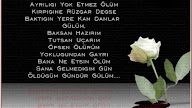 Sevgiliye Gül Verirken Söylenecek Sözler