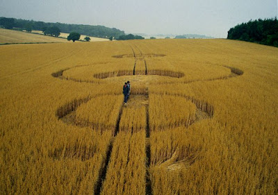 Crop Circles