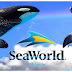 Dicas e Informações sobre o SeaWorld