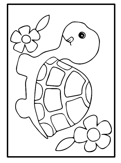 turtle coloring page