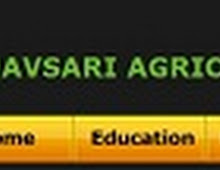 Walk in interview for the post of Junior Research Fellow - 2011 at Navsari Agricultural University