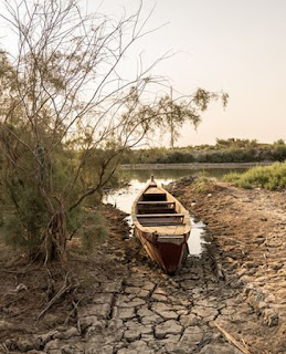 اهوار العراق