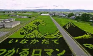 Japan Crop Circles