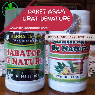 OBAT ASAM URAT DI APOTIK