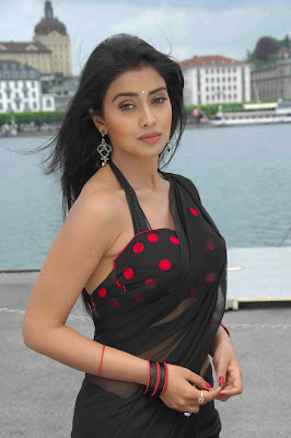 actress shreya in hot saree photos
