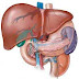 Example of Nursing Diagnosis for Liver Disease / Hepatic Disease