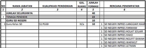 Lowongan Kerja CPNS Pemkab Maluku Tenggara