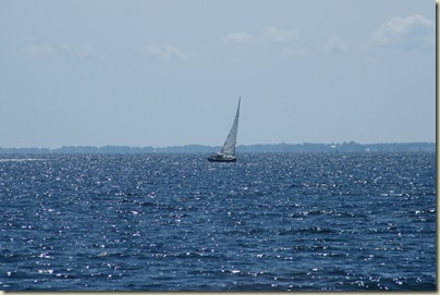 DSCF2984