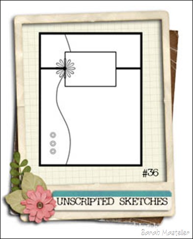 SK sketch 9 US sketch 36