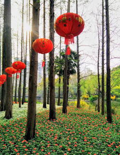 Lanterns In Changfeng Park, Shanghai