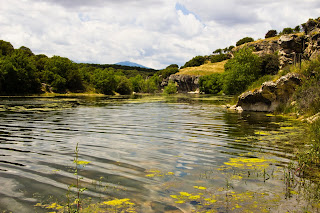 Panoramica Estado del Vellón para Escalar