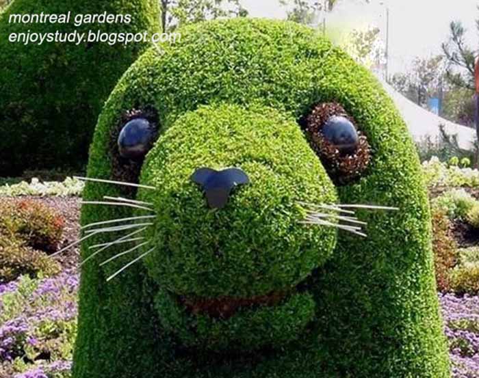 garden sculptures-montral garden canada,garden of birds,frogs and animals