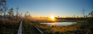 Sunset - Photo by Single.Earth on Unsplash