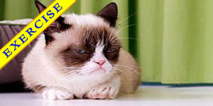 English Story 76- Grumpy Cat in New York – level 1 English Story English News Learn English 