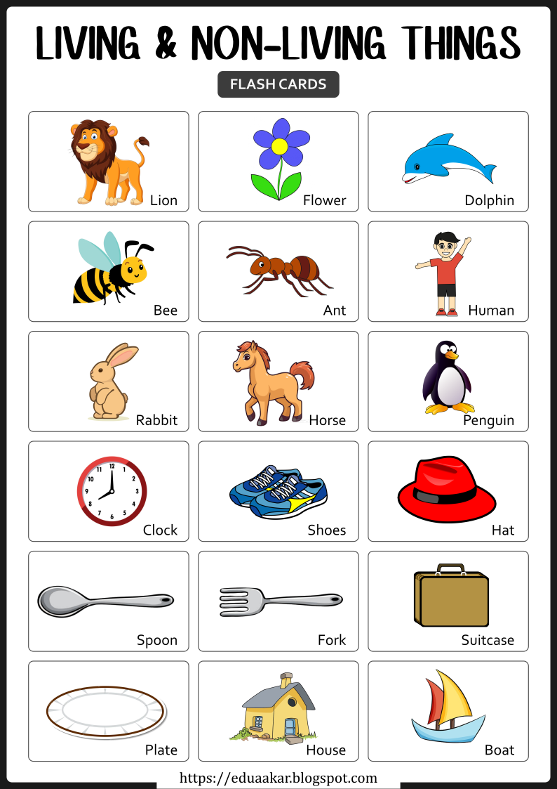 Living and Non-Living Things Flashcards