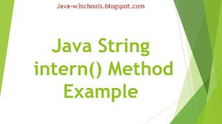 Java String intern() Method Example