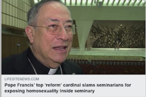 https://www.lifesitenews.com/blogs/pope-francis-top-reform-cardinal-slams-seminarians-for-exposing-homosexuali