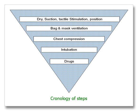 newborn resuscitation  steps to be used