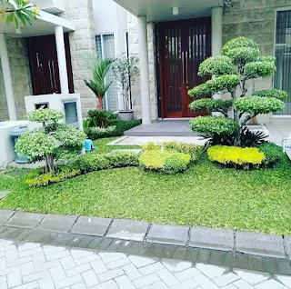Shakila landscape
