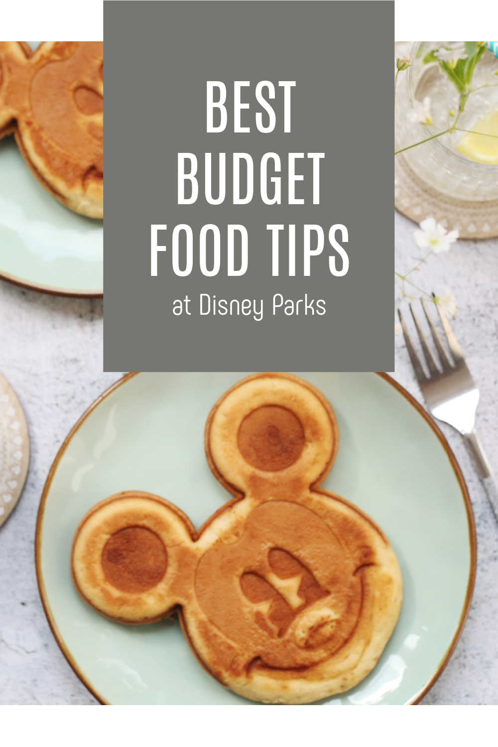 best budget food tips at disney