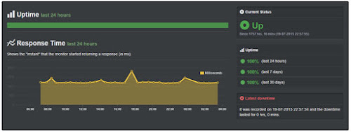 server uptime 100%