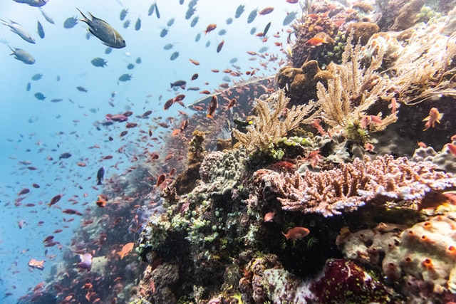 Hebat! 5 Tempat Wisata Ini Diakui UNESCO sebagai Warisan Budaya Dunia