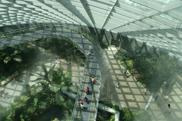 gardens by the bay