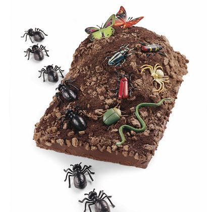 Bug Mountain Cake Recipe