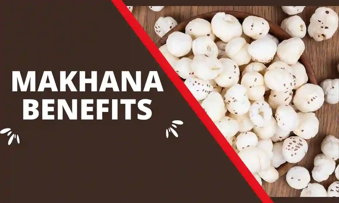 Makhana benefits -  মাখনা বাদামের উপকারিতা ও অপকারিতা। Prickly water lily seeds.