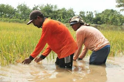 Kondisi Banjir di Ngawi terkini hari ini