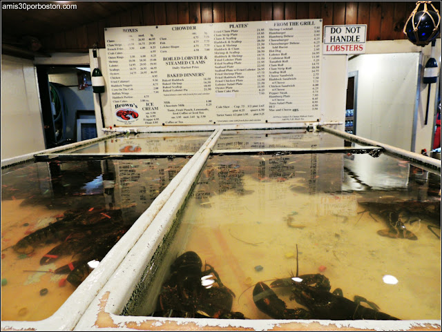 Peceras de Langostas en Brown's Lobster Pound, New Hampshire