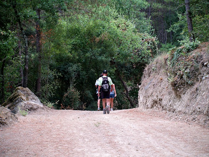 Entrant al Bosc de Vilagonella