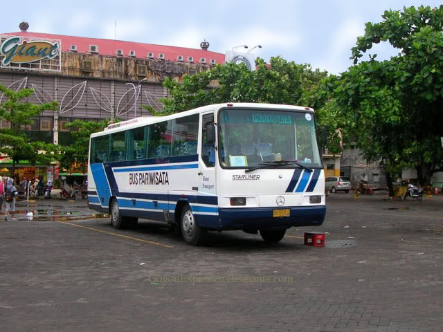  SabtuNgebus Bis Asli Indonesia