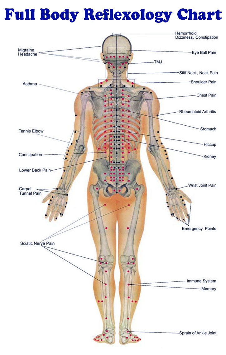 Full Body Reflexology Chart