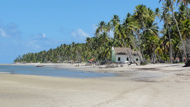 Praia dos Carneiros, no litoral Sul de Pernambuco comemora a retomada do turismo 