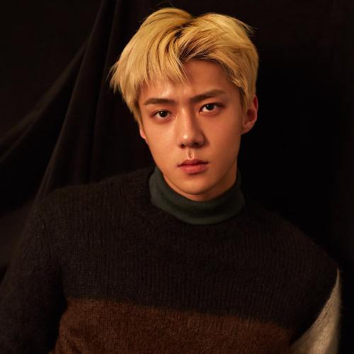 Profil Terlengkap Sehun Exo Mulai Masa Kecil Keluarga Agama Awal Karier Foto Terbaru Kabar Operasi Plastik Hingga Pacar Atau Kekasihnya Dont Sad