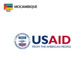 Recrutamento para Trabalhar na ONG USAID em Moçambique