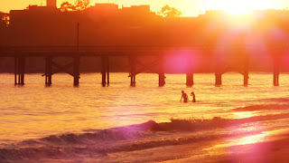 couple enjoying sunset on beach