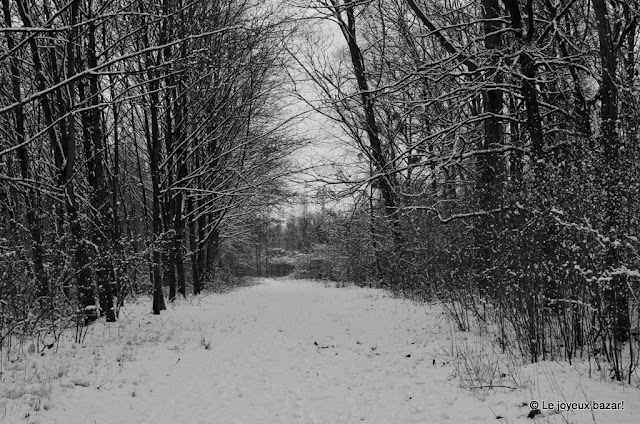 Forêt sous la Neige - l'Isle Adam