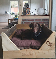 Camitas DIY para perros hechas con pallets de madera