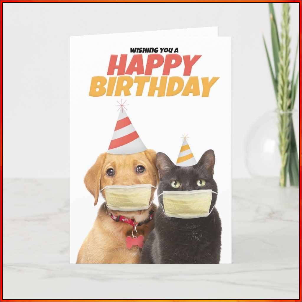 happy birthday image dog
