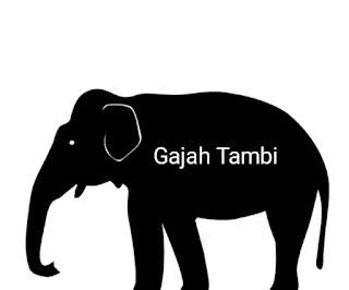 Wow !! 100 Hari Kerja Prestasi Gajah Tambi Memimpin Negeri Antah Berantah, Ngomong Jago Kerja Bego