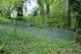 The Lost Gardens of Heligan