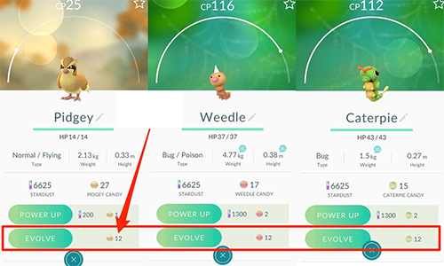 Tiến hóa các Pokemon như Pidgey, Caterpies và Weedles